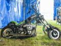 bulldog-bash-2017-custom-063