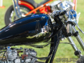 bulldog-bash-2017-custom-067