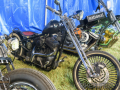 bulldog-bash-2017-custom-074