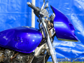 bulldog-bash-2017-custom-101