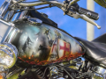 bulldog-bash-2017-custom-117