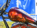 bulldog-bash-2017-custom-152