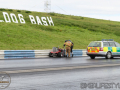 bulldog-bash-2017-rwyb-253