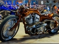 Bulldog Bash 1 (17)