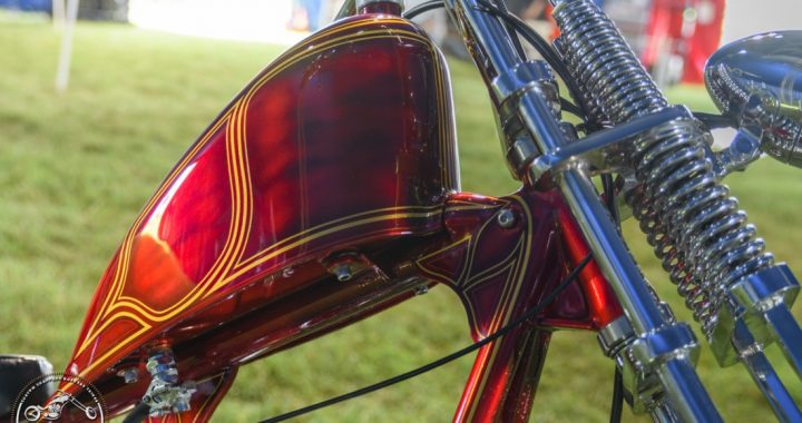 bulldog-bash-2017-custom-006